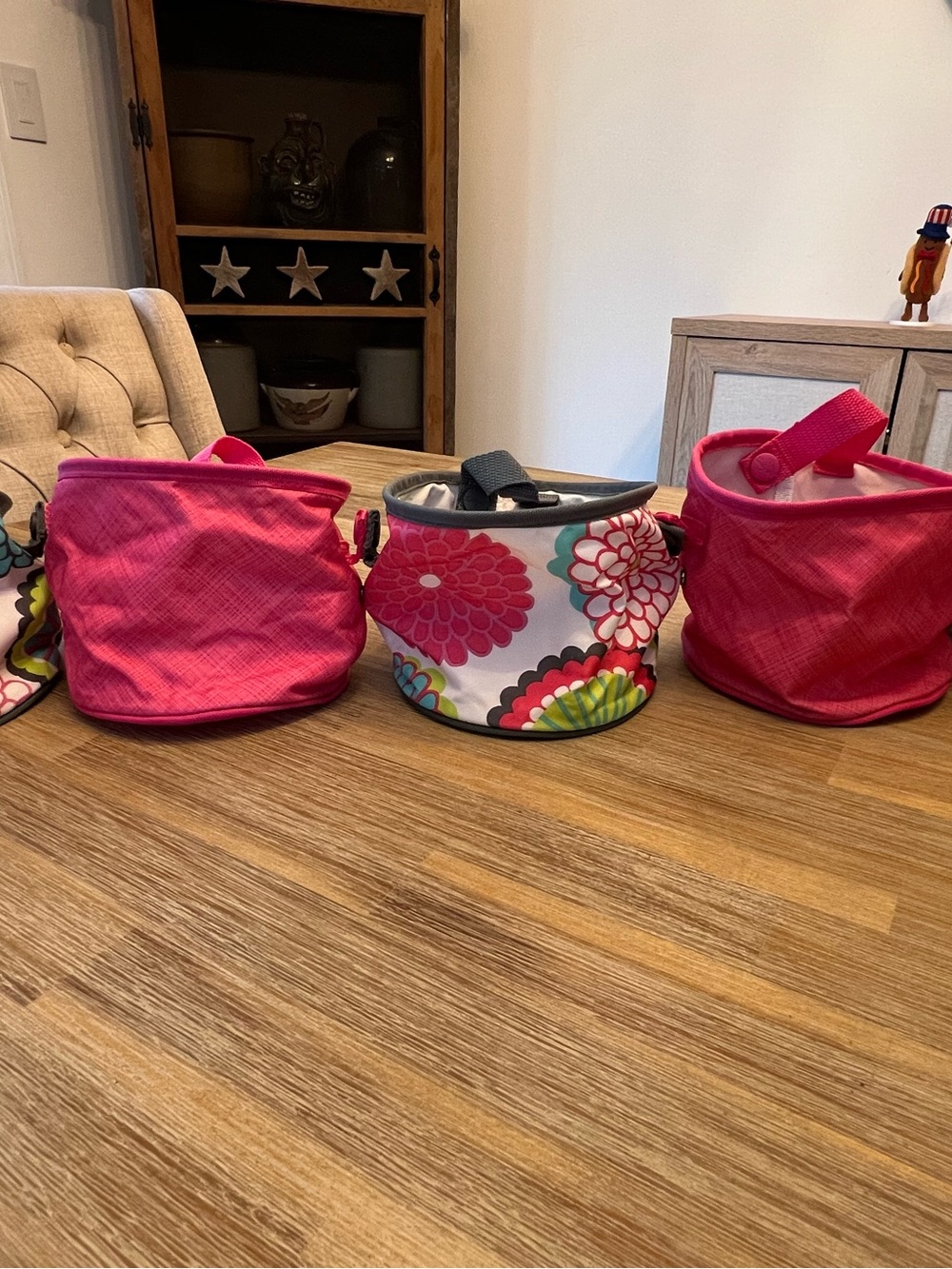 Thirty-one Pink and Floral snap bins set of 5